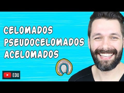 Thumbnail da aula: CELOMADOS, PSEUDOCELOMADOS E ACELOMADOS - CONCEITOS EM EMBRIOLOGIA | Biologia com Samuel Cunha