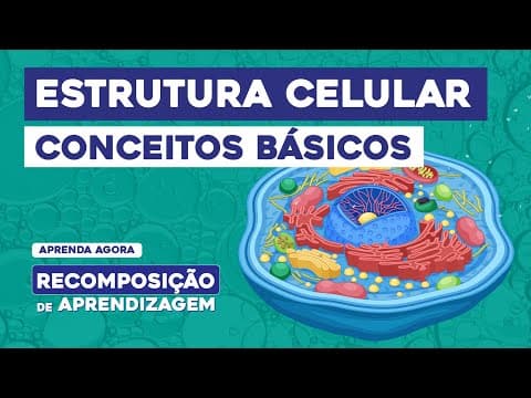 Thumbnail da aula: ESTRUTURA CELULAR: conceitos básicos | Recomposição de Aprendizagem | Cláudia de Souza Aguiar