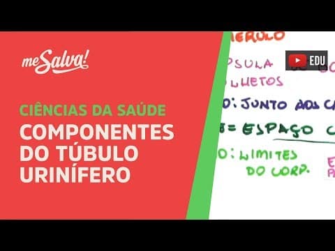 Thumbnail da aula: Me Salva! SURI02 - Componentes do Túbulo Urinífero (Parte I) - Histologia Humana
