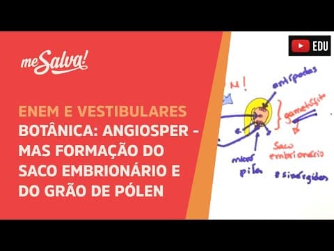 Thumbnail da aula: Me Salva! BOT10 - Botânica - Angiospermas: Formação do saco embrionário e do grão de pólen