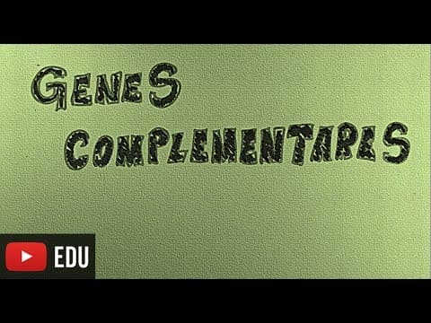 Thumbnail da aula: Genes complementares - Interação gênica