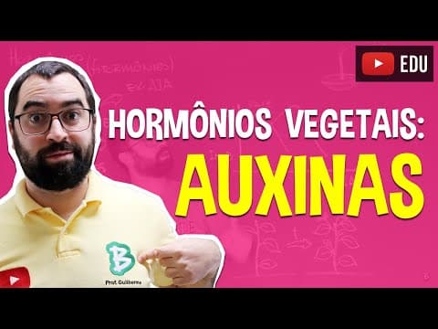 Thumbnail da aula: Auxinas (Hormônios Vegetais) - Fisiologia Vegetal - Aula 27: Botânica (Prof. Guilherme)