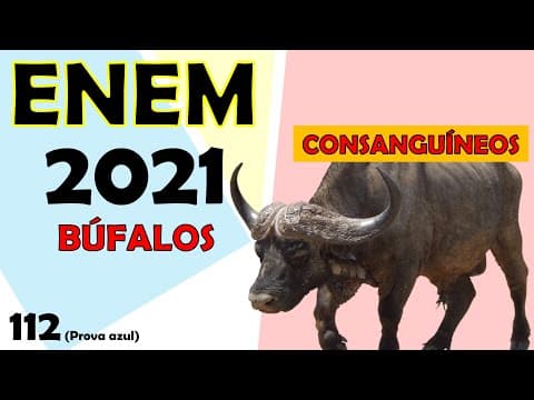 Thumbnail da aula: (ENEM – 2021) Os búfalos são animais considerados rústicos pelos criadores e, por isso, são