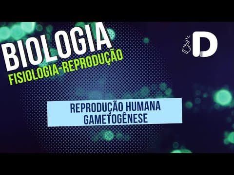 Thumbnail da aula: Gametogênese - Reprodução Humana - Biologia - Preparatório Enem