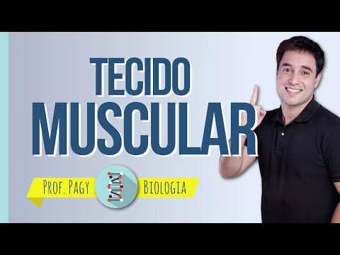 Thumbnail da aula: Tecido muscular - prof. Pagy - Biologia