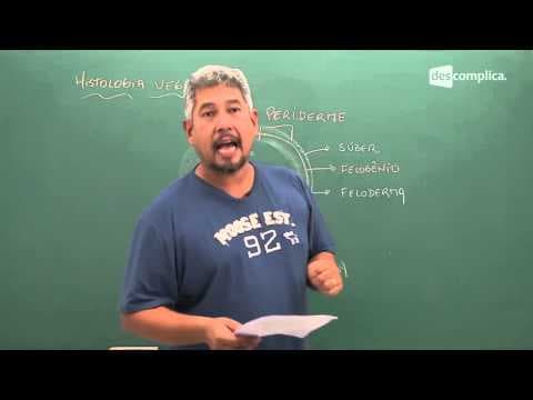 Thumbnail da aula: Exercícios: Histologia Vegetal Meristemas e Revestimento - Biologia | Descomplica