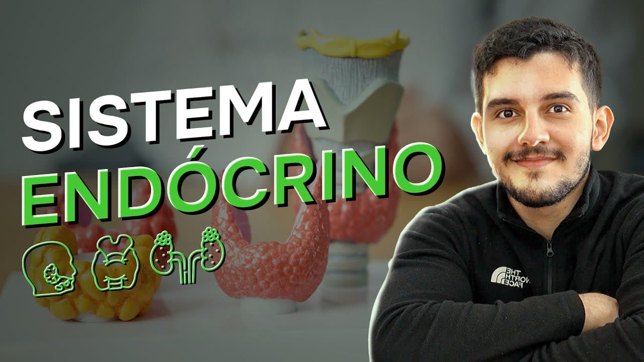 Thumbnail: AULA de SISTEMA ENDÓCRINO para o ENEM