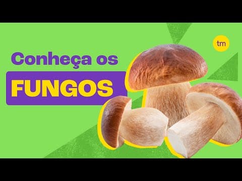 Thumbnail da aula: Conheça o REINO FUNGI | Resumo