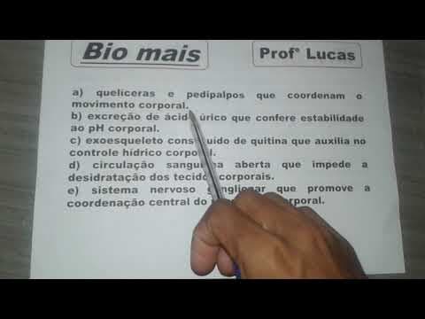 Thumbnail da aula: (ENEM 2020) Aranhas, escorpiões, carrapatos e ácaros são representantes da classe dos Aracnídeos...