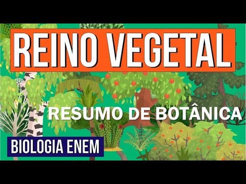 Thumbnail da aula: REINO PLANTAE E SUAS CARACTERÍSTICAS | Resumo de Biologia Enem: O Reino Vegetal. Prof Claudia Aguiar