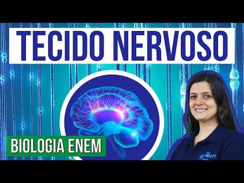 Thumbnail da aula: OS NEURÔNIOS E O TECIDO NERVOSO: Características e funções nos humanos. Claudia Aguiar. Curso Enem
