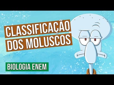 Thumbnail da aula: CLASSIFICAÇÃO DOS MOLUSCOS | Biologia para o Enem | Cláudia de Souza Aguiar