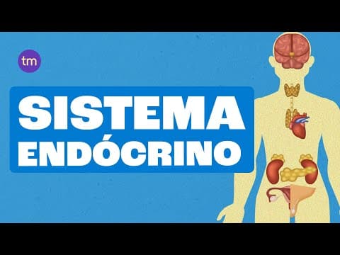 Thumbnail da aula: SISTEMA ENDÓCRINO: O que são Glândulas e como elas funcionam
