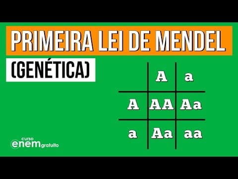 Thumbnail da aula: PRIMEIRA LEI DE MENDEL | GENÉTICA.. Resumo de Biologia Enem. Profe. Juliana Evelyn Santos