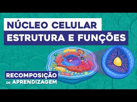 Thumbnail da aula: NÚCLEO CELULAR: estrutura e funções | Biologia | Recomposição de Aprendizagem | Cláudia Souza Aguiar