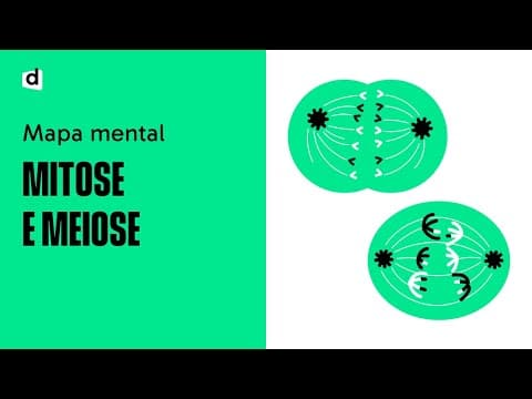 Thumbnail da aula: MITOSE E MEIOSE | Divisão Celular | Quer que desenhe