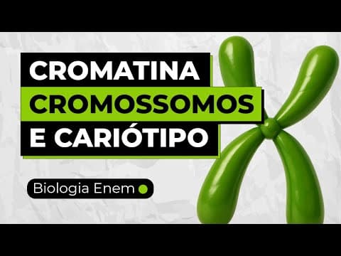 Thumbnail da aula: CROMATINA, CROMOSSOMOS E CARIÓTIPO | Resumo de Biologia para o Enem