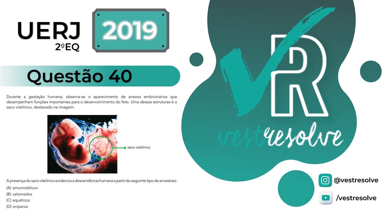 Thumbnail: Biologia - Uerj 2019 2EQ - Questão 40
