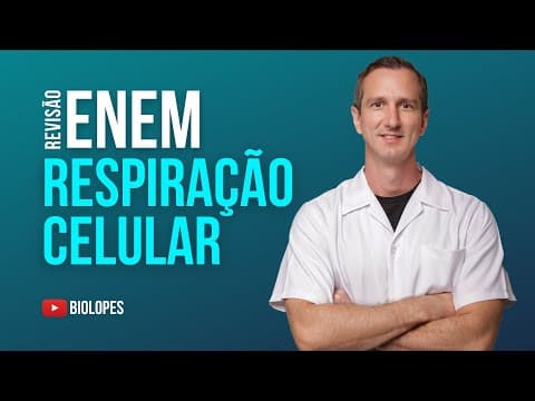 Thumbnail da aula: ENEM 2022 – Os ursos, por não apresentarem uma hibernação verdadeira, acordam por causa da presença