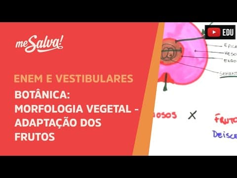 Thumbnail da aula: Me Salva! BOT44 - Botânica - Morfologia vegetal: adaptações dos frutos I