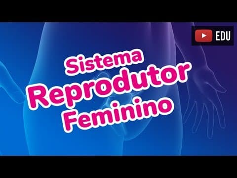 Thumbnail da aula: SISTEMA REPRODUTOR FEMININO - Prof. Paulo Jubilut