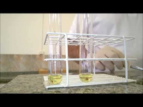 Thumbnail da aula: Química Ensinada - Reações Químicas - Atividade Experimental 01
