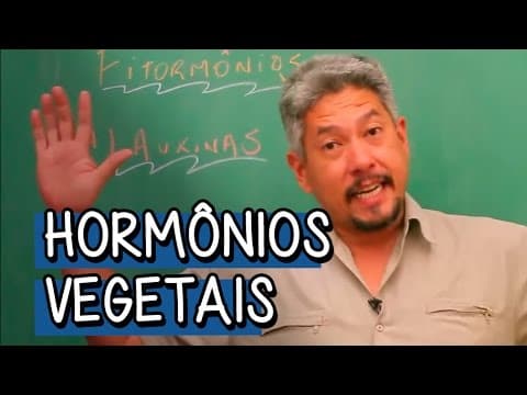 Thumbnail da aula: Reino Plantae - Gimnospermas e Angiospermas - Extensivo Biologia | Descomplica