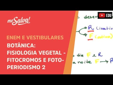 Thumbnail da aula: Me Salva! BOT35 - Botânica - Fisiologia vegetal: fitocromos e fotoperiodismo II