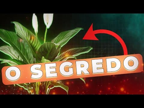 Thumbnail da aula: Hormônios vegetais