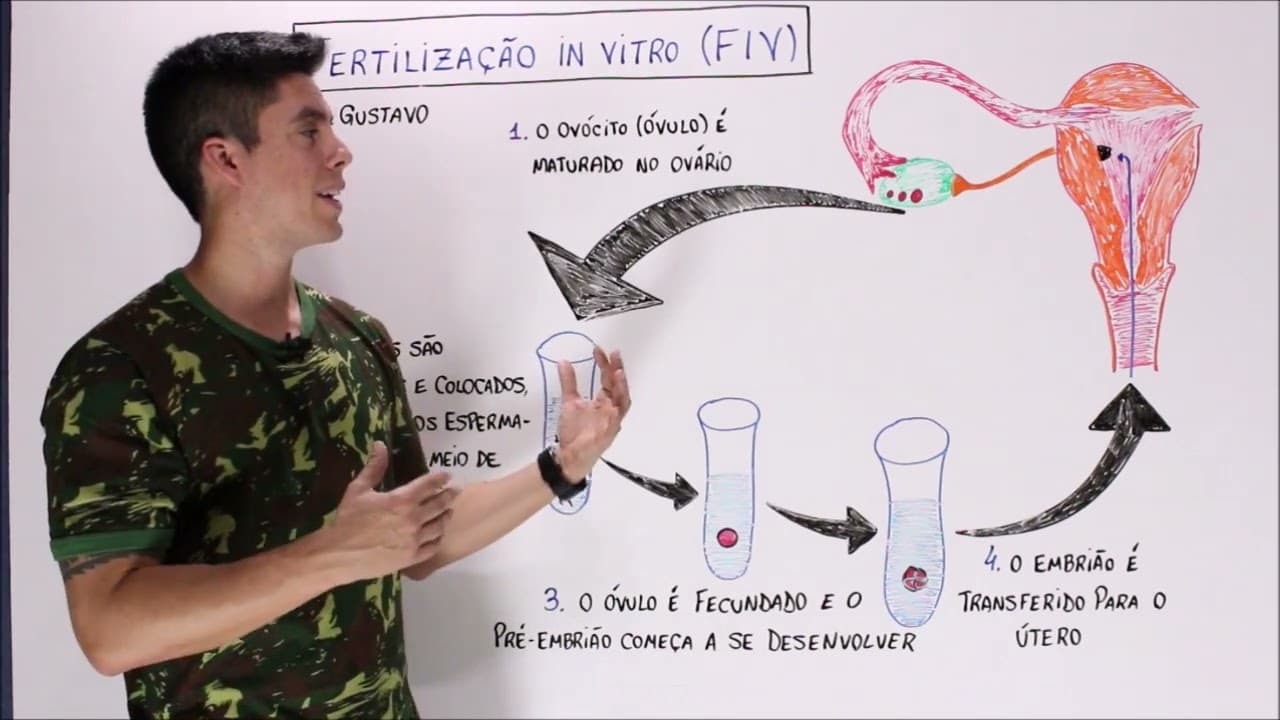 Thumbnail: Fertilização in vitro - Resumo ENEM