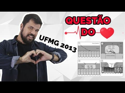 Thumbnail da aula: Questão do Coração - Biologia - UFMG 2013 - Sistema Digestório - Estômago - Helicobacter Pylori