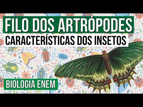 Thumbnail da aula: FILO DOS ARTRÓPODES: características dos insetos | Biologia para o Enem | Cláudia de Souza Aguiar