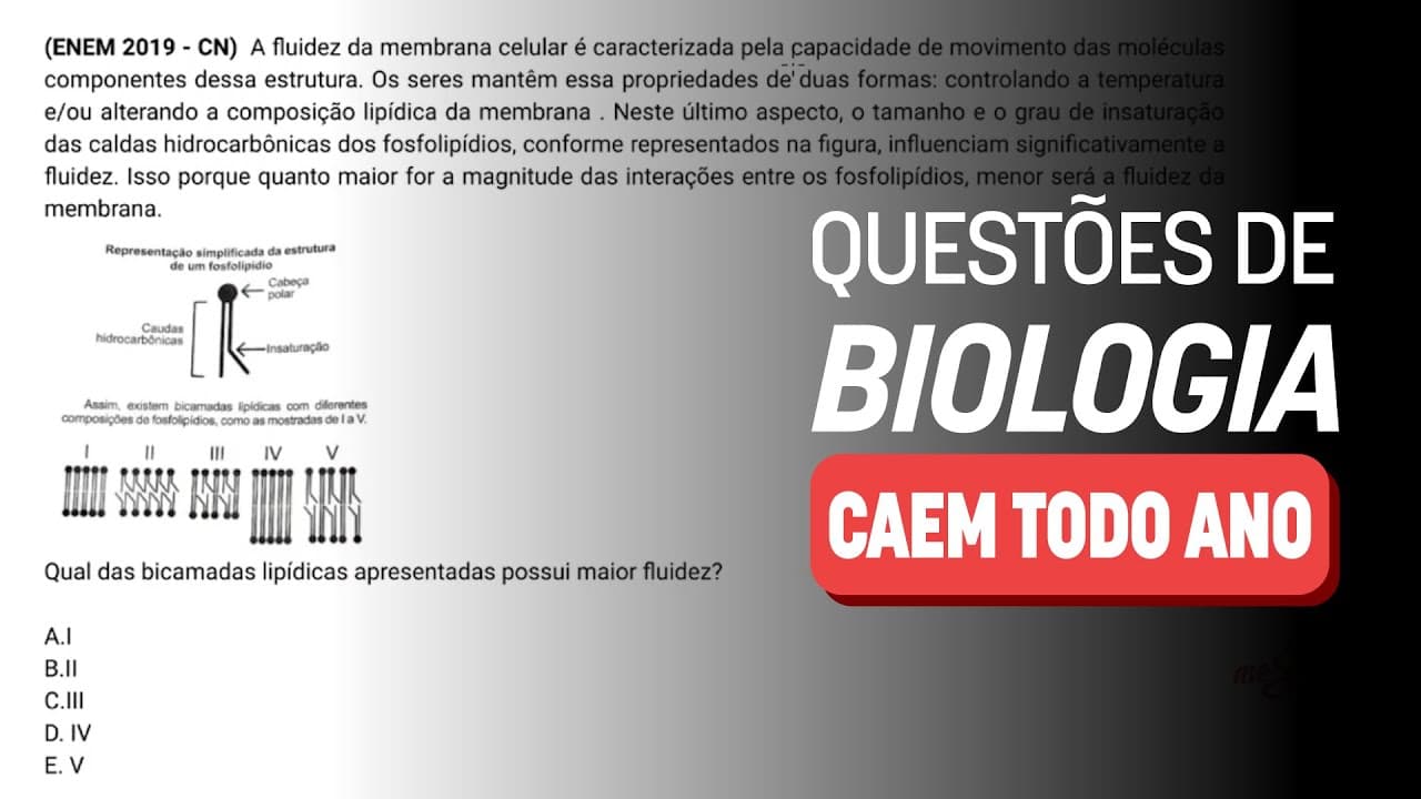 Thumbnail: 🚨 Como ACERTAR 5 questões de Biologia | Revisão ENEM 2024 #JuntosAtéaProva