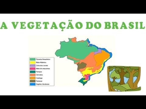 Thumbnail da aula: Vegetação do Brasil (Biomas brasileiros)
