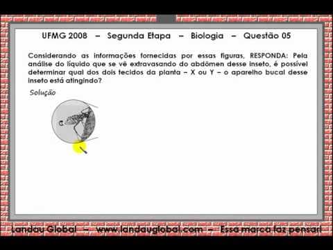 Thumbnail da aula: UFMG_2008_BIO_P2_Q5
