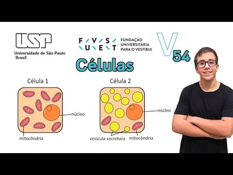 Thumbnail da aula: Fuvest 2020 | Biologia -Questão 54- Células como as representadas em 1 e 2 podem ser encontradas