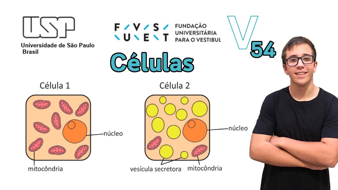 Thumbnail: Fuvest 2020 | Biologia -Questão 54- Células como as representadas em 1 e 2 podem ser encontradas