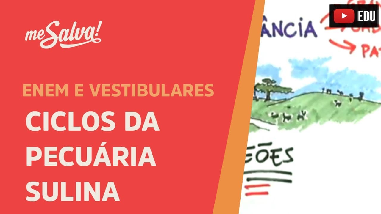 Thumbnail: Ciclos da Pecuária Sulina - História UFRGS - Me Salva!