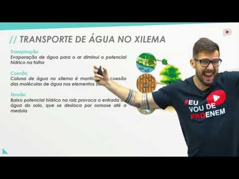 Thumbnail da aula: Água, sais minerais e vitaminas I Biologia I Prof. Bruno Pires