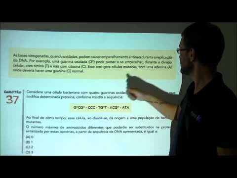 Thumbnail da aula: eXpecial UERJ Biologia Citogenética Prof Paulo Vitor