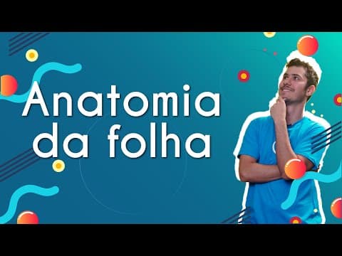 Thumbnail da aula: Anatomia da folha - Brasil Escola