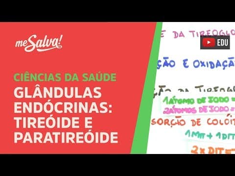 Thumbnail da aula: Me Salva! GEP13 - Glândulas Endócrinas: Tireóide e Paratireóide - Histologia Humana