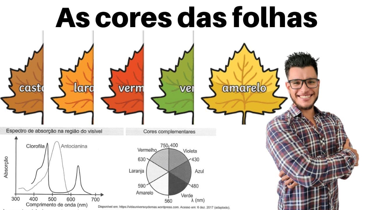 (Enem 2021) No outono, as folhas das árvores mudam — Aula de Biologia